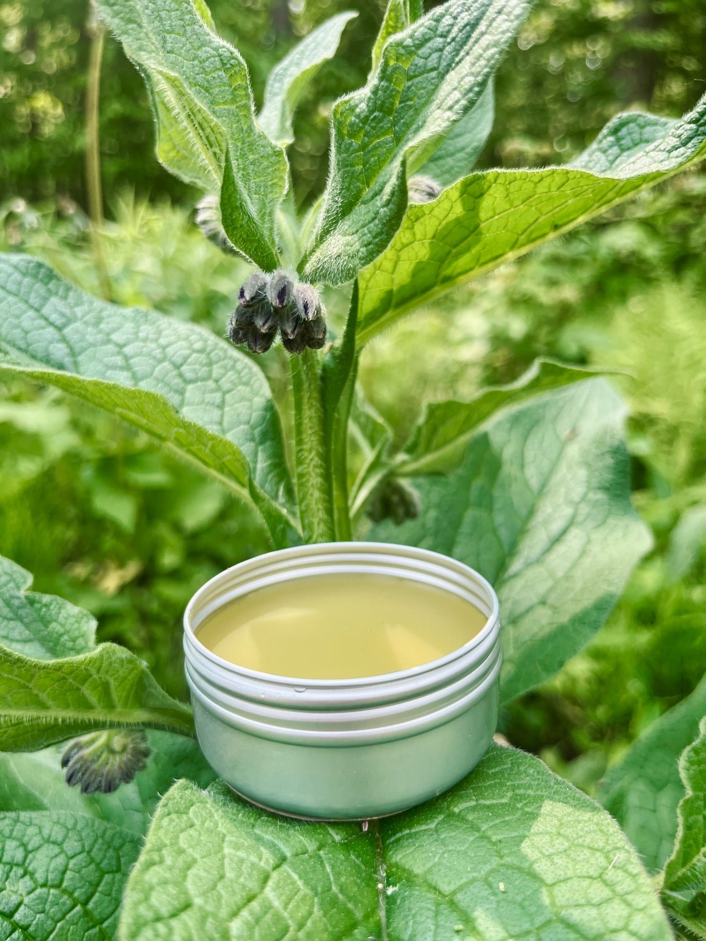 Comfrey salve
